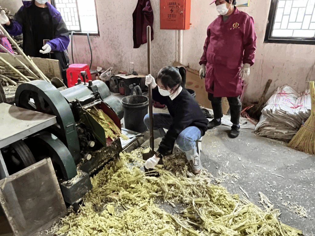 公益助農(nóng)新體驗(yàn)，鄉(xiāng)村振興正當(dāng)時(shí) 惲代英菁英學(xué)校赴新洲紅糖小鎮(zhèn)開(kāi)展勞動(dòng)實(shí)踐教育